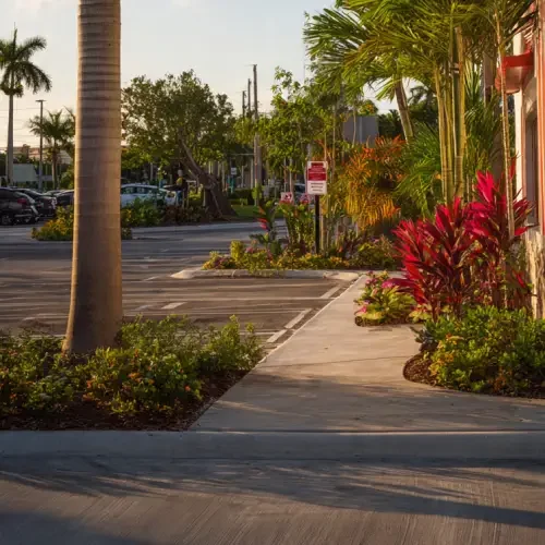 Landscaping and Surroundings Along the Drive-Thru Route